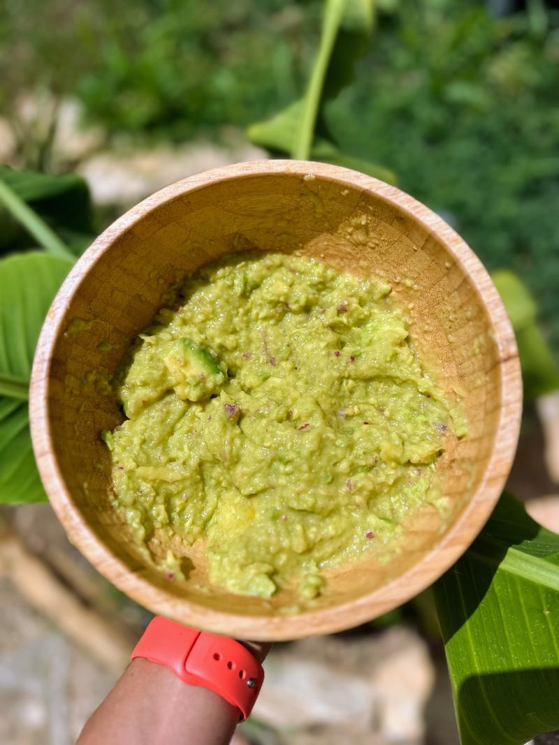 Guacamole mangue tropicale